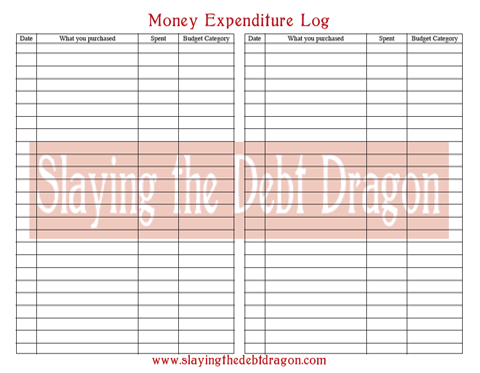 Red Expenditure Form