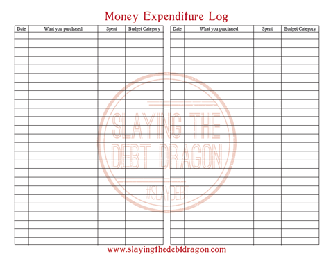 Money Expenditure Log Color